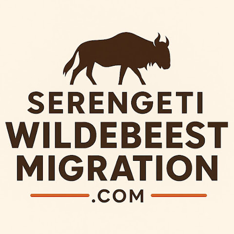 AFRICAN SAFARI GUIDE channel avatar