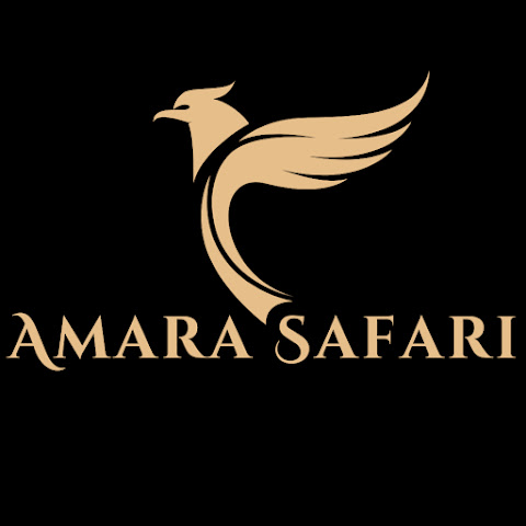 amara safari | Luxury African Safaris | Tanzania  channel avatar