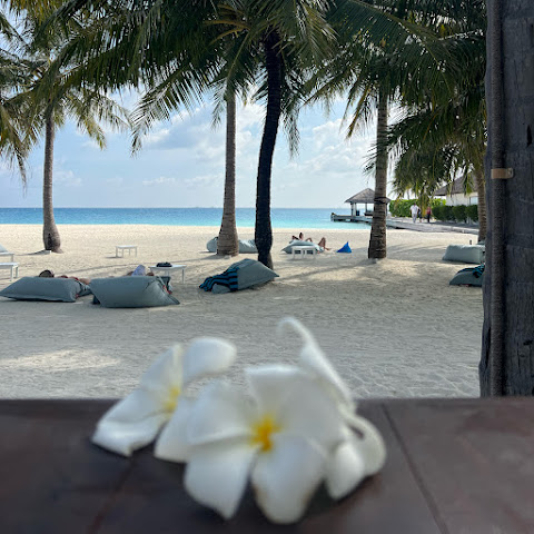 Travel as a lifestyle  channel avatar