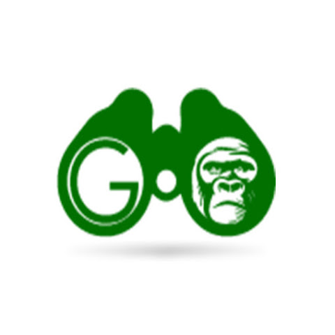 GoExplore Safaris channel avatar