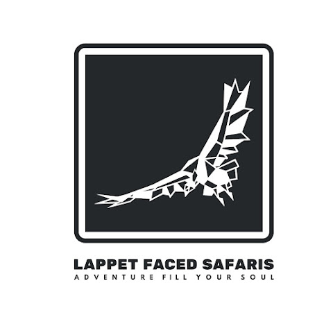 Lappet Faced Safaris - Tanzania channel avatar
