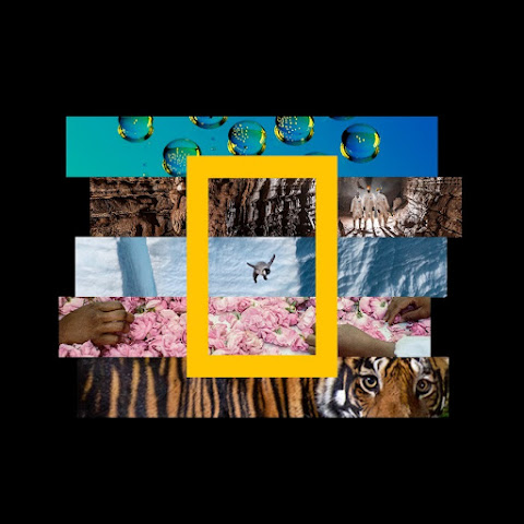 National Geographic channel avatar