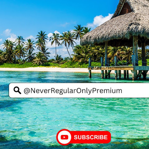  Premium Lifestyle channel avatar
