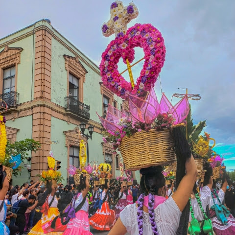 Oaxaca Culture channel avatar