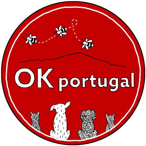 OKportugal channel avatar