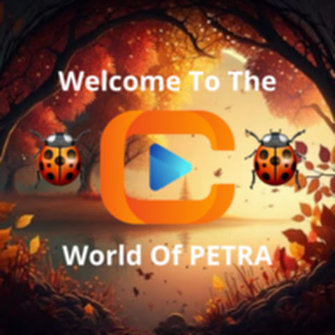  PETRA channel avatar