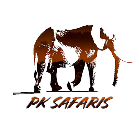PKSAFARIS channel avatar