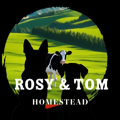 Rosy and Tom Portugal Homestead  channel avatar