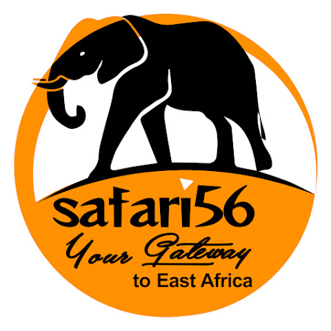Safari 56 Limited channel avatar