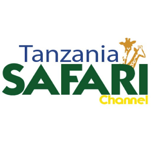 Tanzania Safari channel avatar