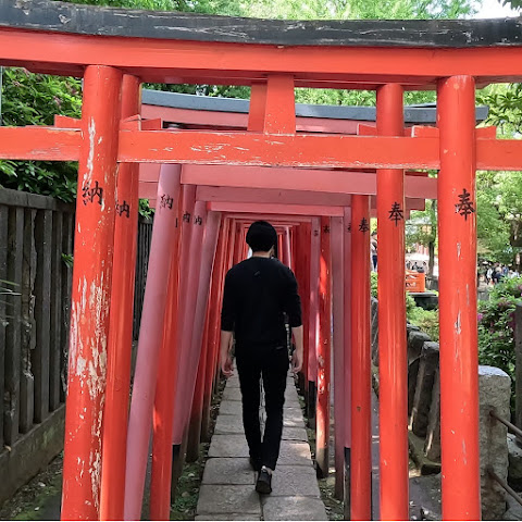 TARO Life / Japan Travel Vlog channel avatar