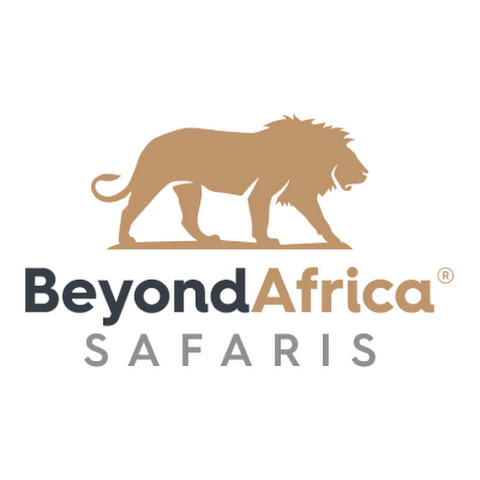 Beyond Africa Safaris channel avatar