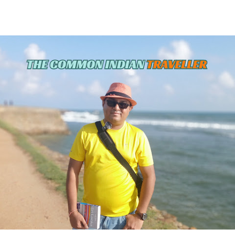 The Common Indian Traveller channel avatar