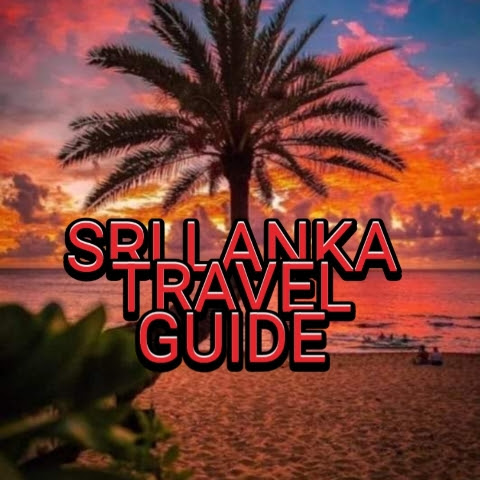SRILANKA TRAVEL GUIDE  channel avatar